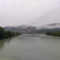 Die Rhone im Regen.jpg