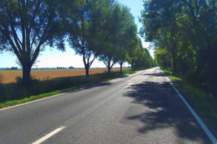 Landstraße kurz vor der polnischen Grenze