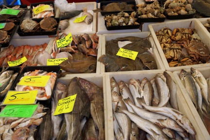 Fischstand auf dem Rotterdamer Markt