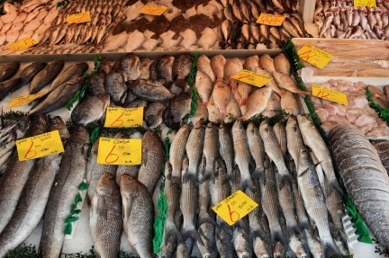 Teil eines Fischstandes auf dem Haagse Markt