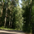 Waldweg.jpg