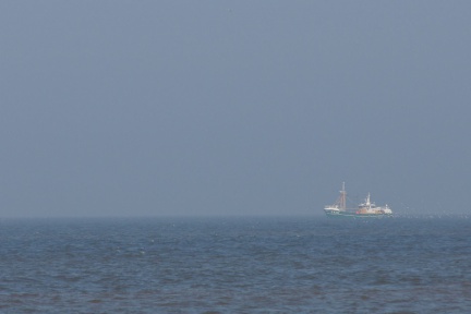 Fischer vor  Egmond aan Zee