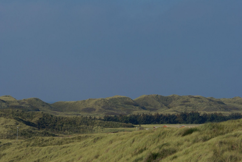 Dünenlandschaft an der Nordseeküste.jpg