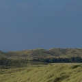 Dünenlandschaft an der Nordseeküste