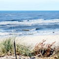 Strand bei Sondervig (Dänemark).jpg