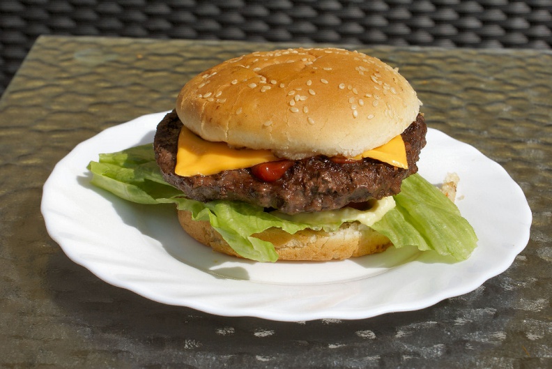 Hamburger 2.jpg