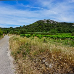 Provence (Juni-Juli 2019)