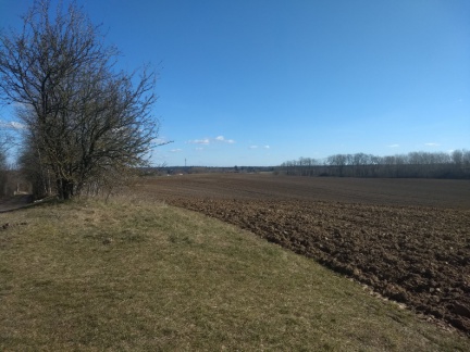 Brandenburger Felder