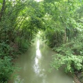 Kleiner Flusslauf im Wald