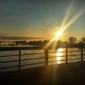 Morgens an der Loire.jpeg
